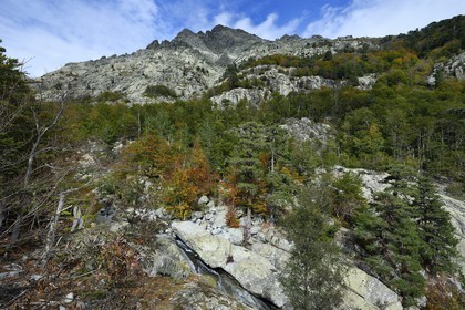 France, Haute-Corse (2B), Vivario, GR 20, étape entre le refuge de l'Onda et Vizzavona, foret de Vizzavona, les cascades des anglais, groupe de cascades dans la vallée de l'Agnone au pied du Monte d'Oro