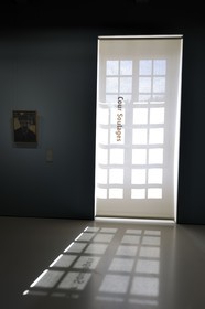 France, Hérault (34), Montpellier, centre historique, musée Fabre, mention obligatoire: géré par Montpellier