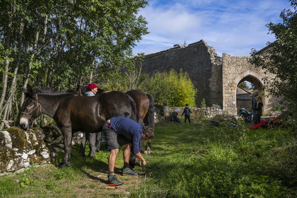 France, Aveyron, Causses and the Cévennes, cultural landscape of Mediterranean agro-pastoralism, listed as World Heritage by UNESCO, the Robin family stopover on their (partial) walking tour of France in La Couvertoirade, labelled Les Plus Beaux Villages de France (The Most Beautiful Villages of France)