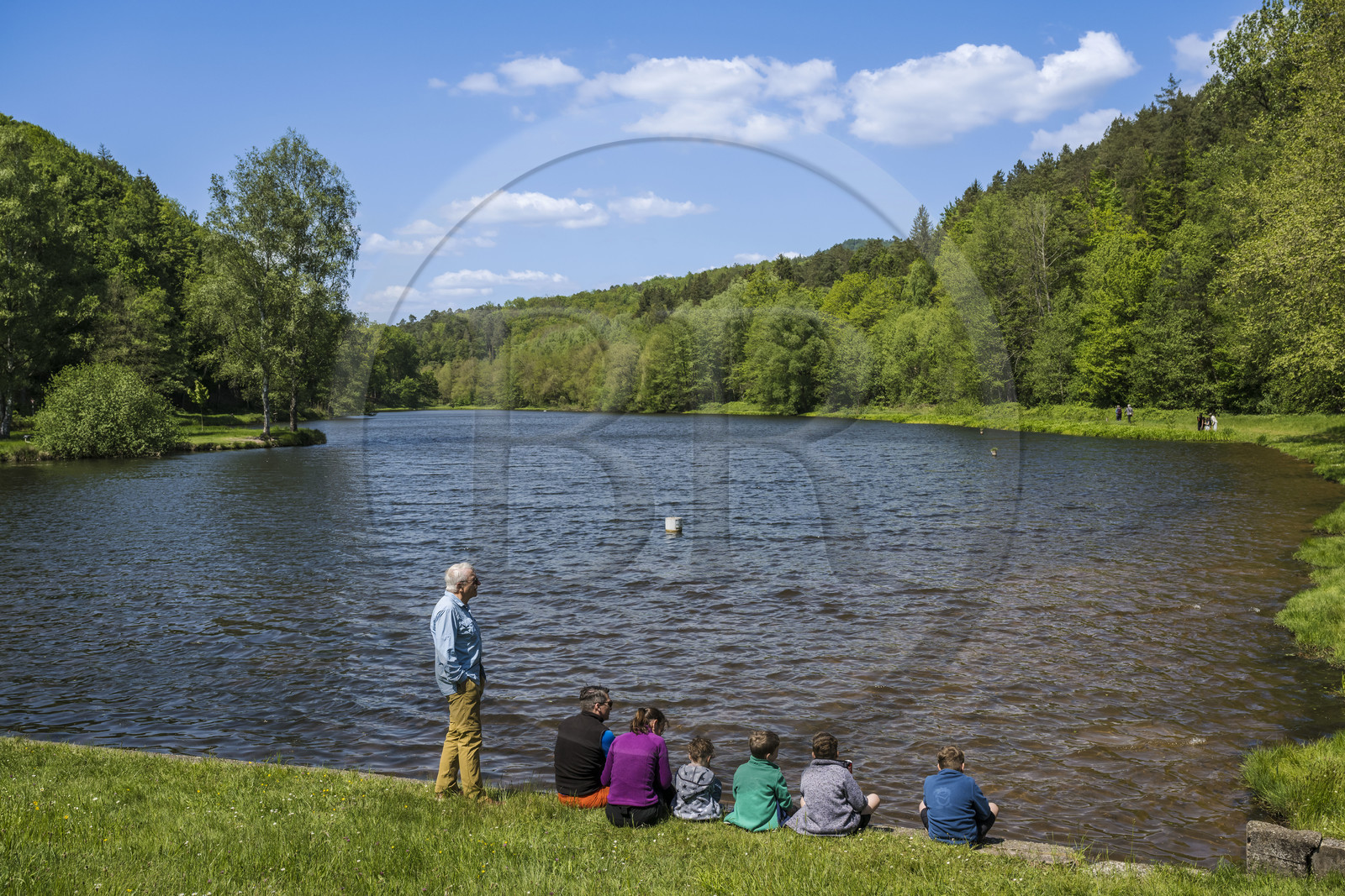 France, Bas-Rhin (67), Parc naturel régional des Vosges du Nord, Lembach, étang du Fleckenstein alimenté par la rivière Sauer