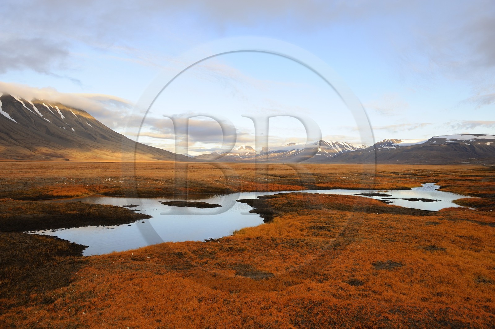 Norvège, Svalbard (Spitzberg), toundra dans la région de Longyearbyen