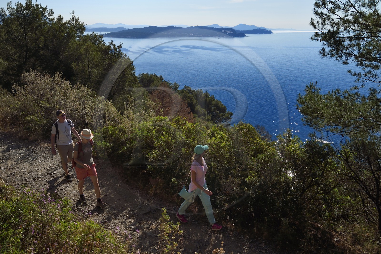 France, Var, La Seyne sur Mer, hike in the Cap Sicie massif along the Chemin du Joncquet below the Corniche Merveilleuse, the peninsula of Saint mandrier in the background