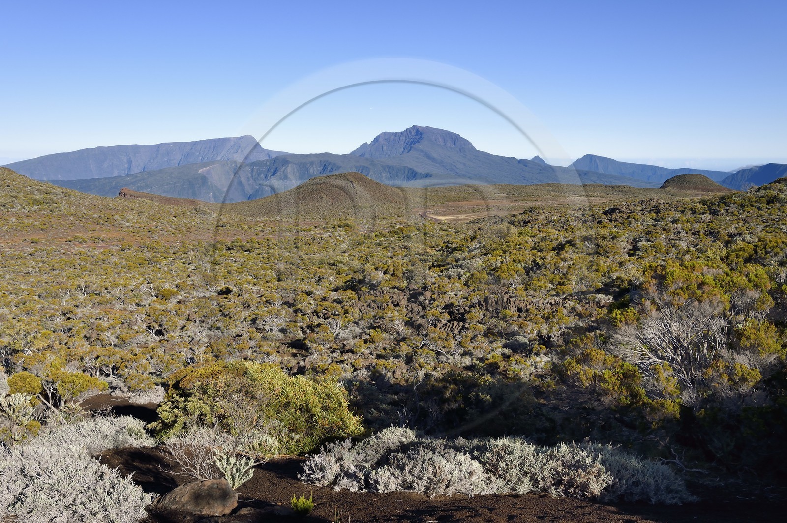 France, Ile de la Reunion, Parc National de la Réunion classé Patrimoine Mondial de l'UNESCO, sur les pentes du volcan de Piton de la Fournaise, randonnée du sentier de l'oratoire Ste Thérèse au dessus de la Plaine des Sables, le Piton des Neiges en arrière plan au nord