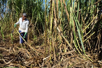 France, Reunion island (French overseas department), Petite-Ile,
