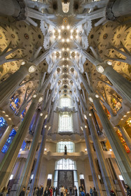 Spain, Catalonia, Barcelona, Eixample district, Sagrada Familia basilica by Catalan modernist architect Antoni Gaudi, listed as a UNESCO World Heritage Site, the facade of Glory seen from the inside and the vault of the Nave at the top