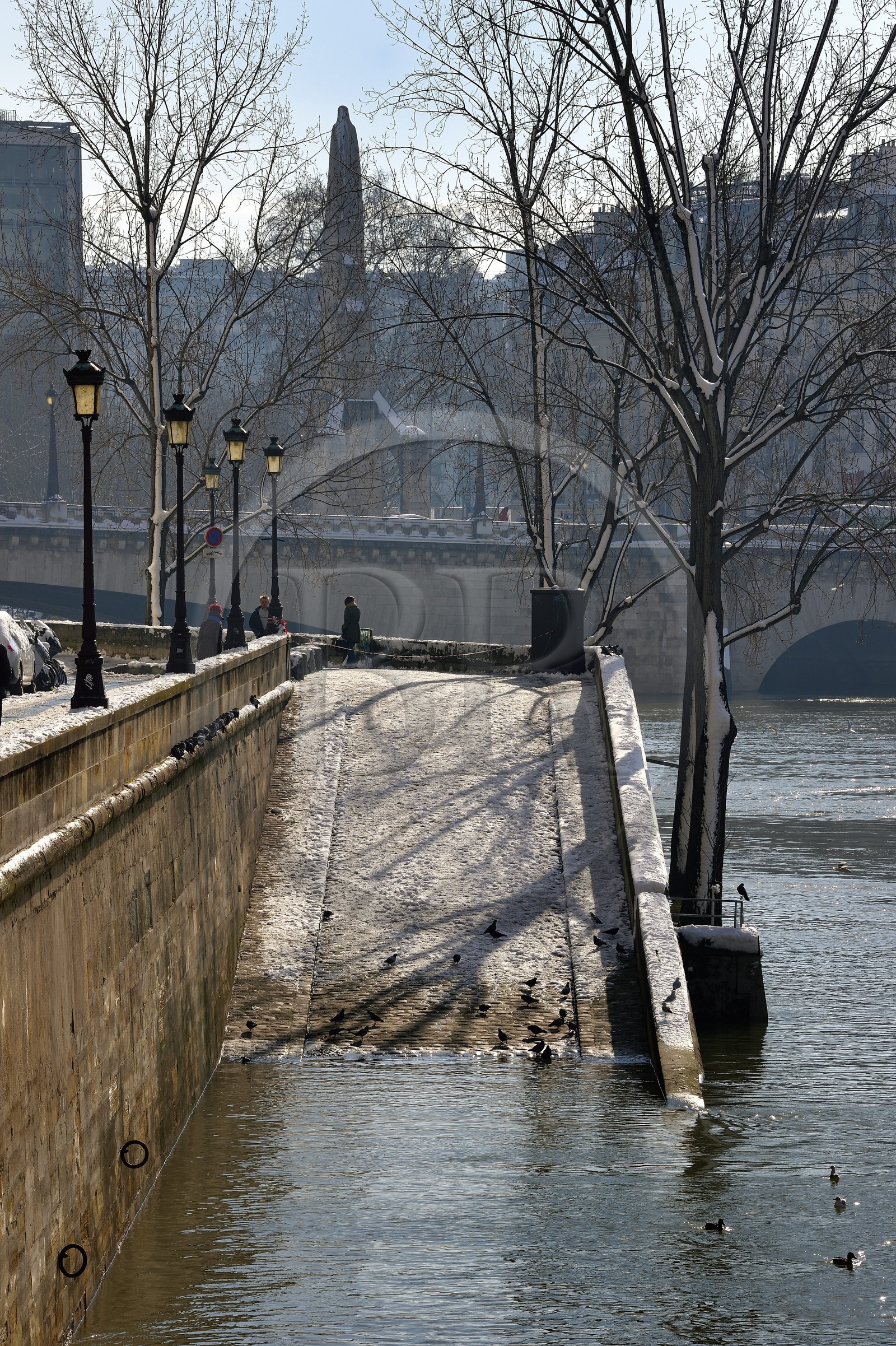 France, Paris, area listed as World Heritage by UNESCO, the banks of the Seine, classified World Heritage by UNESCO, the banks of the Seine in flood on the Ile Saint-Louis under the snow, the Tournelle bridge in the background