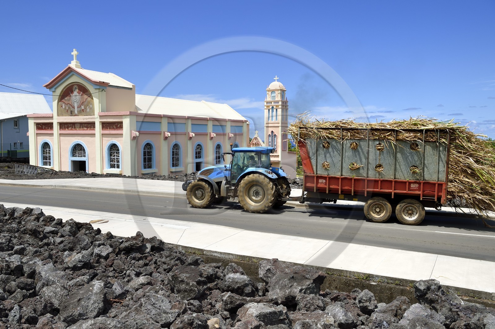 France, Ile de la Reunion, l'église Notre-Dame-des-Laves de Piton Sainte-Rose épargnée par la coulée de lave de 1977, un tracteur transporte un chargement de cannes à sucre vers l'usine
