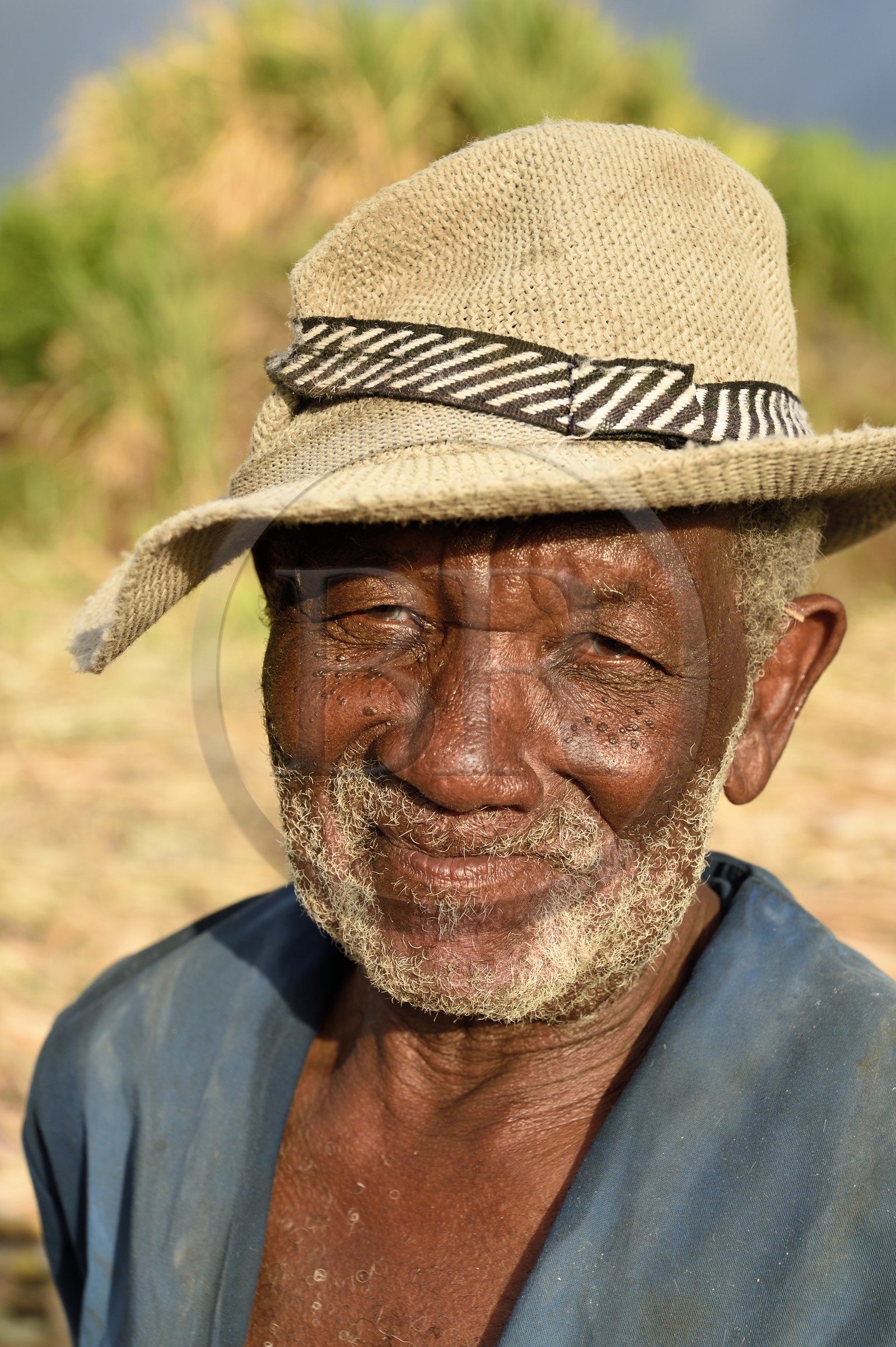France, Reunion island (French overseas department), south coast, Petite-Ile, creole sugarcane cutter in a sugar cane field