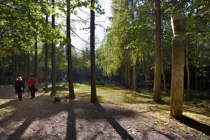 France, Bas-Rhin (67), Ottrott, Mont Sainte-Odile, site du crash de l'Airbus A320 le 20 janvier 1992 faisant 87 morts sur les hauteurs de La Bloss