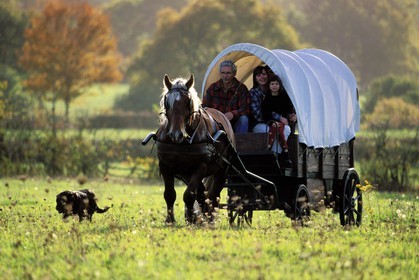 France, Saone et Loire, Morvan region, wagon crossing a field near the village of Celle en Morvan