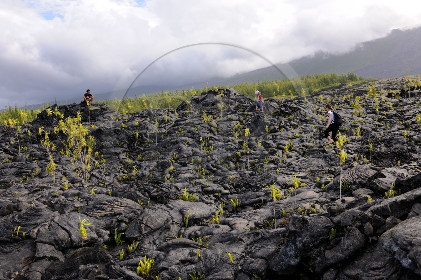 France, Reunion island (French overseas department), Piton de la Fournaise, listed as World Heritage by UNESCO volcano, the Grand Brule, lava flow of 2007