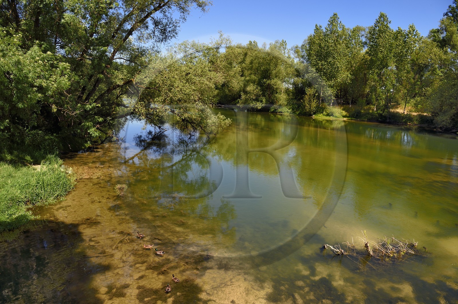 France, Meuse (55), Génicourt-sur-Meuse, Villiers-sur-Meuse, les rives de la Meuse