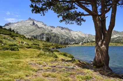 France, Hautes-Pyrénées (65), Saint-Lary-Soulan et Vielle-Aure, Réserve naturelle nationale du Néouvielle, randonnée des lacs du Neouvielle, lac d'Aumar et le pic de Néouvielle en arrière plan