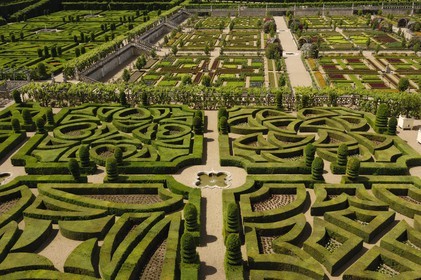 France, Indre-et-Loire (37), vallée de la Loire classée Patrimoine Mondial de l'UNESCO, les jardins à la française du château de Villandry, propriété d'Angélique et Henri Carvallo