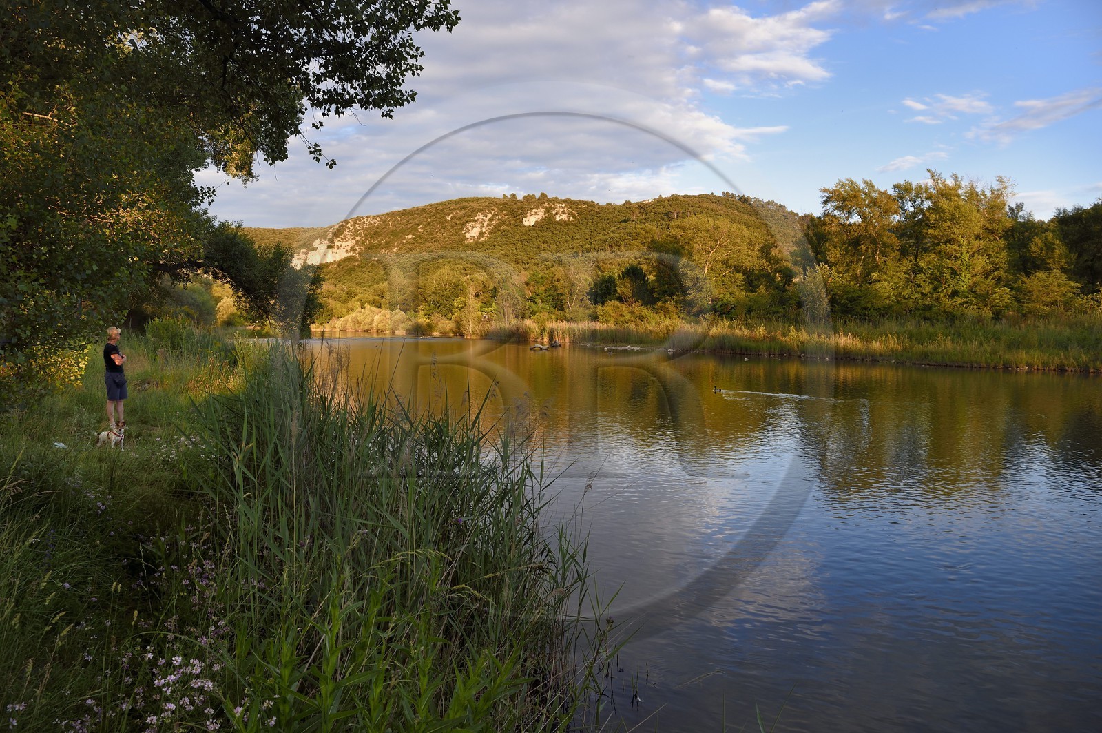 France, Alpes de Haute Provence, Parc Naturel Regional du Verdon (Natural Regional Park of Verdon), Gréoux les Bains, the banks of the Verdon river