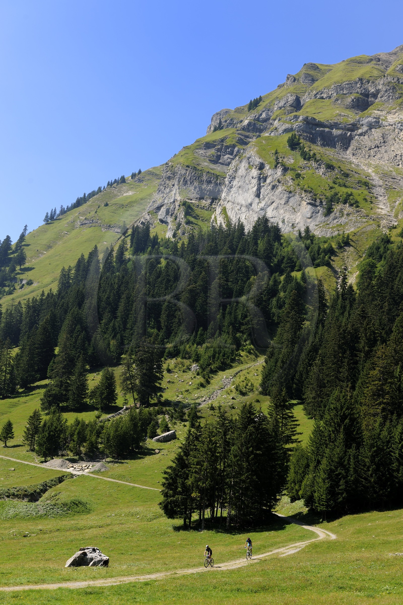 Suisse, canton de Vaud, Villars-sur-Ollon, vallée de Solalex dans le Parc naturel des Muverans