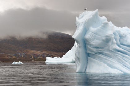 Groenland, cote Nord-Ouest, mer de Baffin, iceberg dans Inglefield Fjord devant Qaanaaq