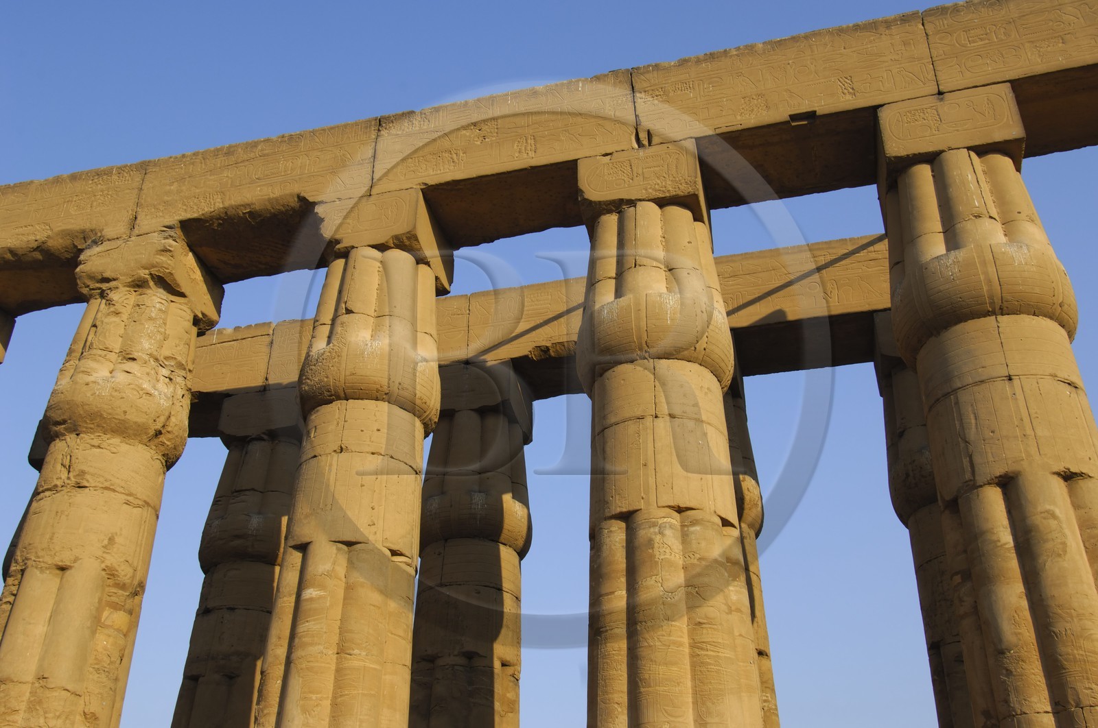 Egypt, Upper Egypt, Nile Valley, Luxor Temple listed as World Heritage by UNESCO, hall of pillars