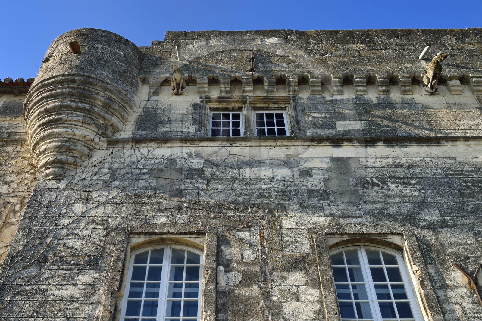 France, Bouches du Rhone, Arles, Réattu museum (Compulsory Mention)
