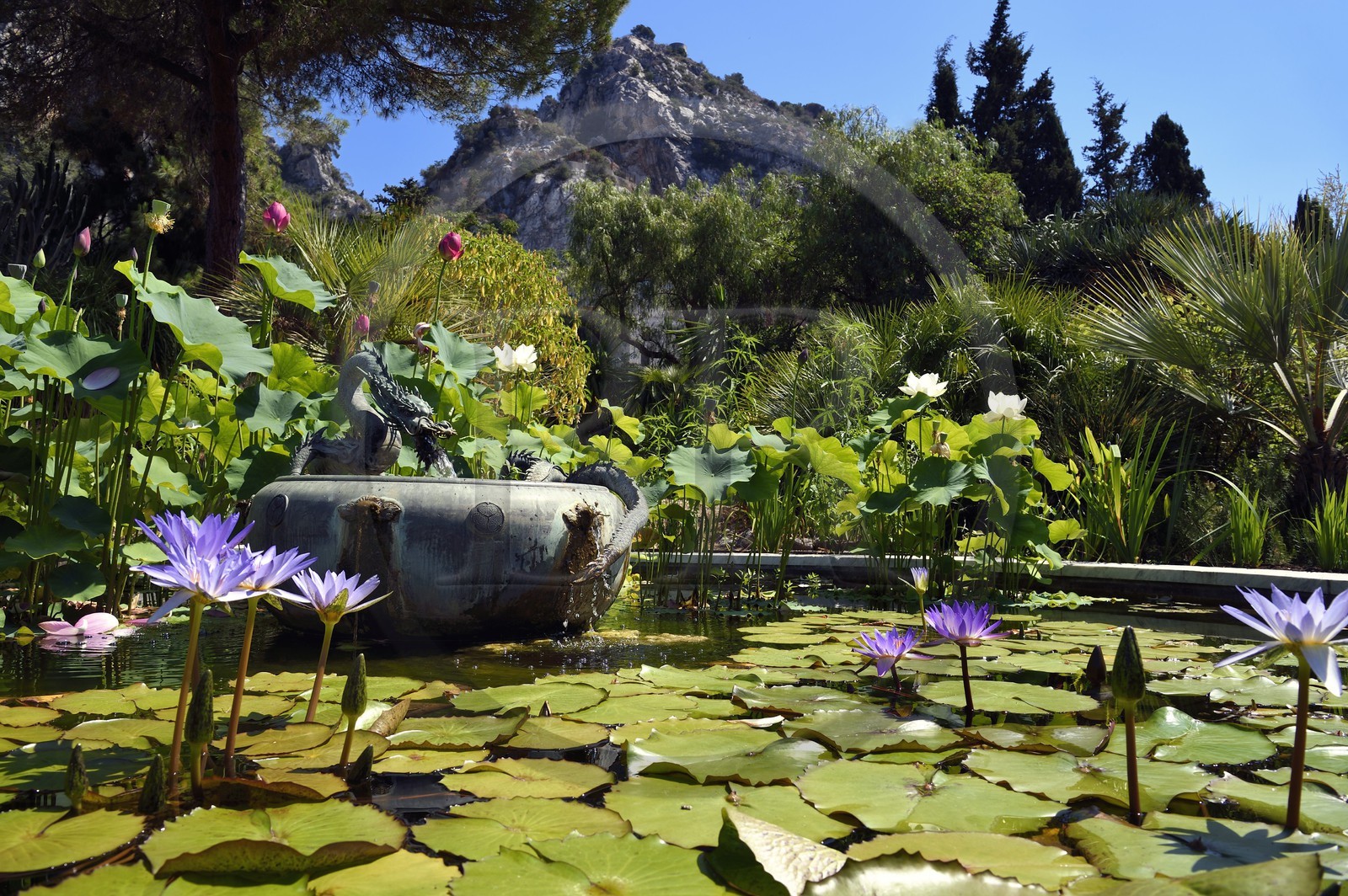 France, Alpes-Maritimes (06), Menton, quartier de Garavan, le jardin de Maria Serena, le bassin de la Fontaine au Dragon (ancienne fontaine japonaise qui a appartenue à un shogun)