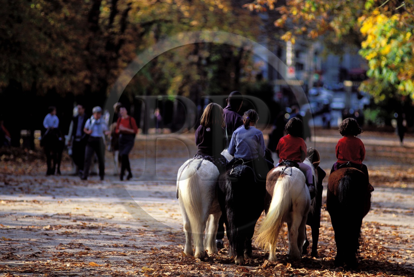 France, Paris, jardin du Luxembourg