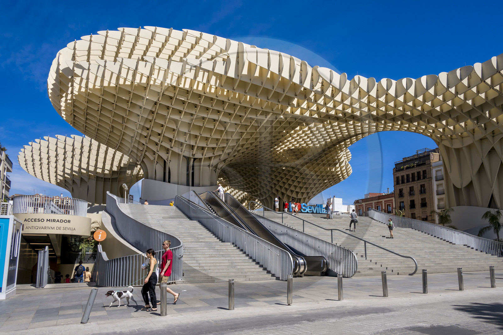 Spain, Andalusia, Seville, Plaza de la Encarnacion - Plaza Mayor, Metropol Parasol or Setas de Sevilla (built 2011) by architect Jurgen Mayer-Hermann