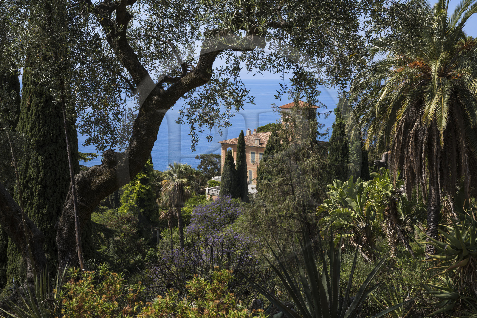 Italy, Liguria, Province of Imperia, Ventimiglia, Hanbury Botanical Garden, Palazzo Orengo