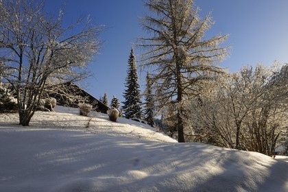 Suisse, Canton de Vaud, Villars sur Ollon, chalet sous la neige