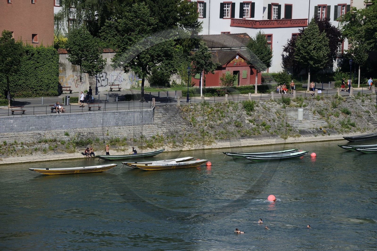 Suisse, Bâle, quartier du Petit Bâle sur la rive droite du Rhin, un membre d'un des clubs de bateliers bâlois pendant l'entrainement