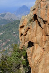 France, Corse-du-Sud (2A), Golfe de Porto, classé Patrimoine Mondial de l'UNESCO, calanches de Piana, rochers de granit rose aux formes fantasmagoriques sur le chemin dit du Chateau-Fort