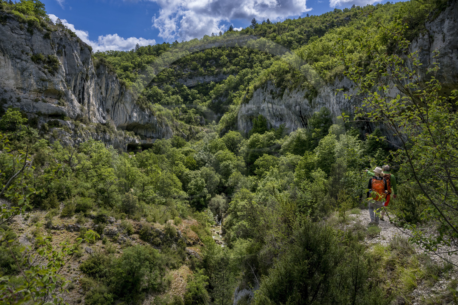 France, Vaucluse (84), Parc naturel régional du Mont Ventoux, Monieux, Gorges de La Nesque, randonneurs descendant sur un sentier vers le  fond du canyon