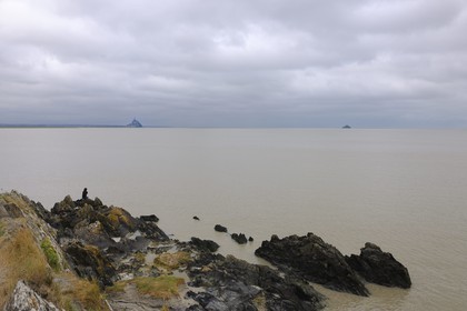 France, Manche, the Bay of Mont Saint Michel and the Mount seen from Groin du Sud