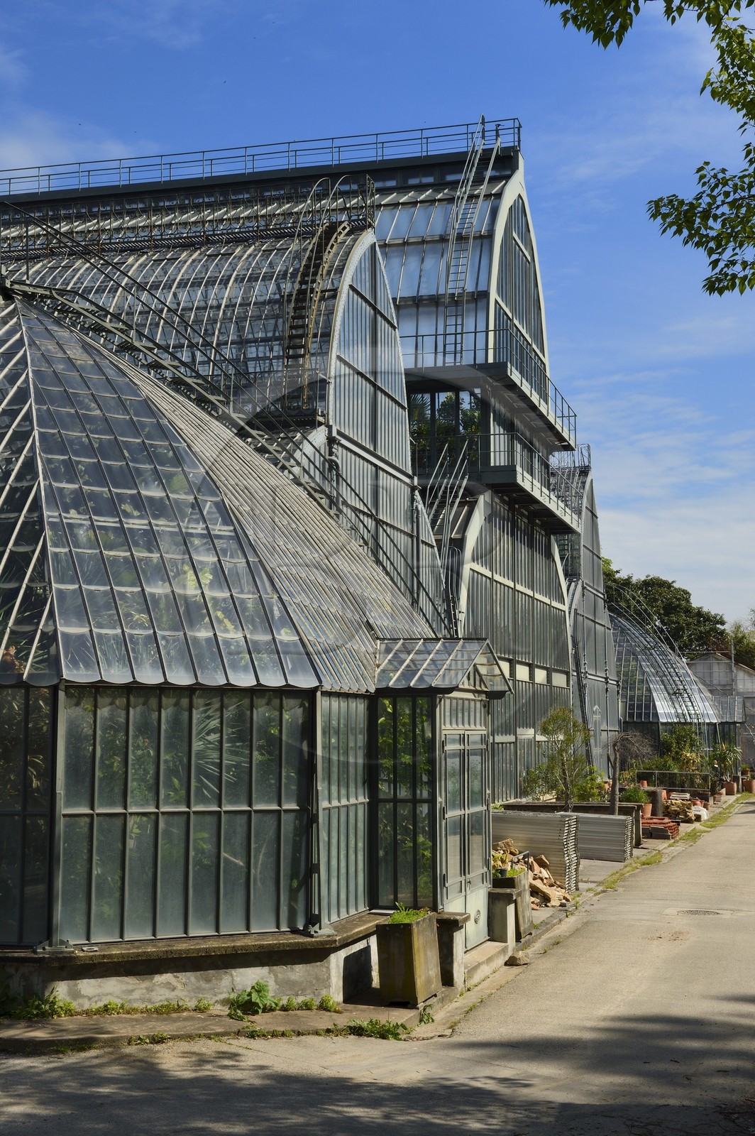 France, Rhône (69), Lyon,  le parc de la Tête d' Or, la grande Serre