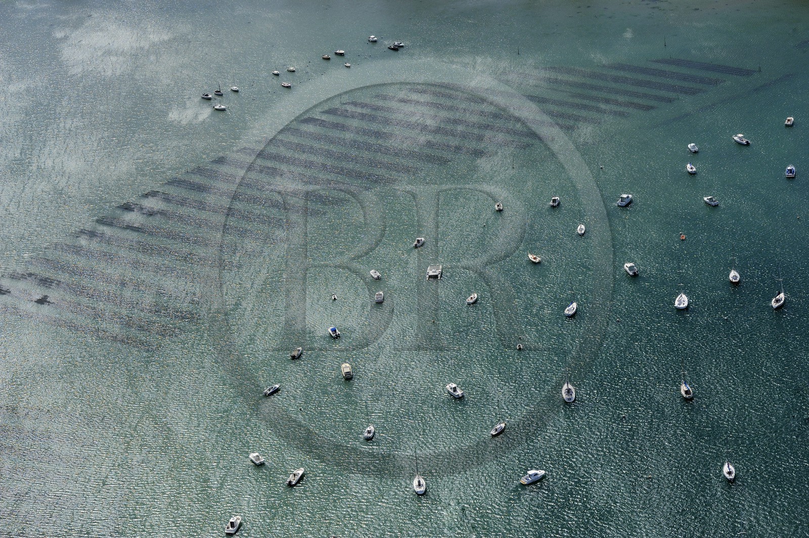 France, Morbihan (56), Golfe du Morbihan, parcs a huitres dans l'Anse de Kerners et port naturel de plaisance (vue aérienne)