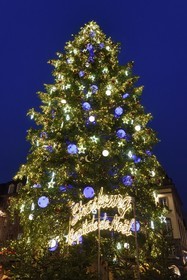 France, Bas-Rhin (67), Strasbourg, vieille ville classée au Patrimoine Mondial de l’UNESCO, le Grand Sapin de Noël de la place Kléber