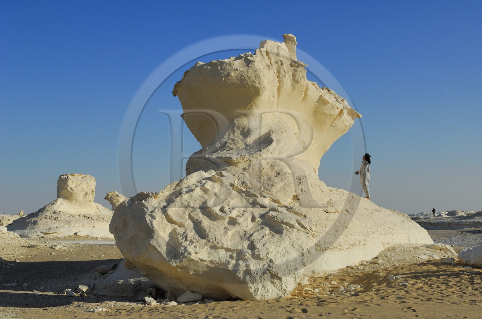 Egypte, désert libyque, le Désert Blanc au nord de Farafra