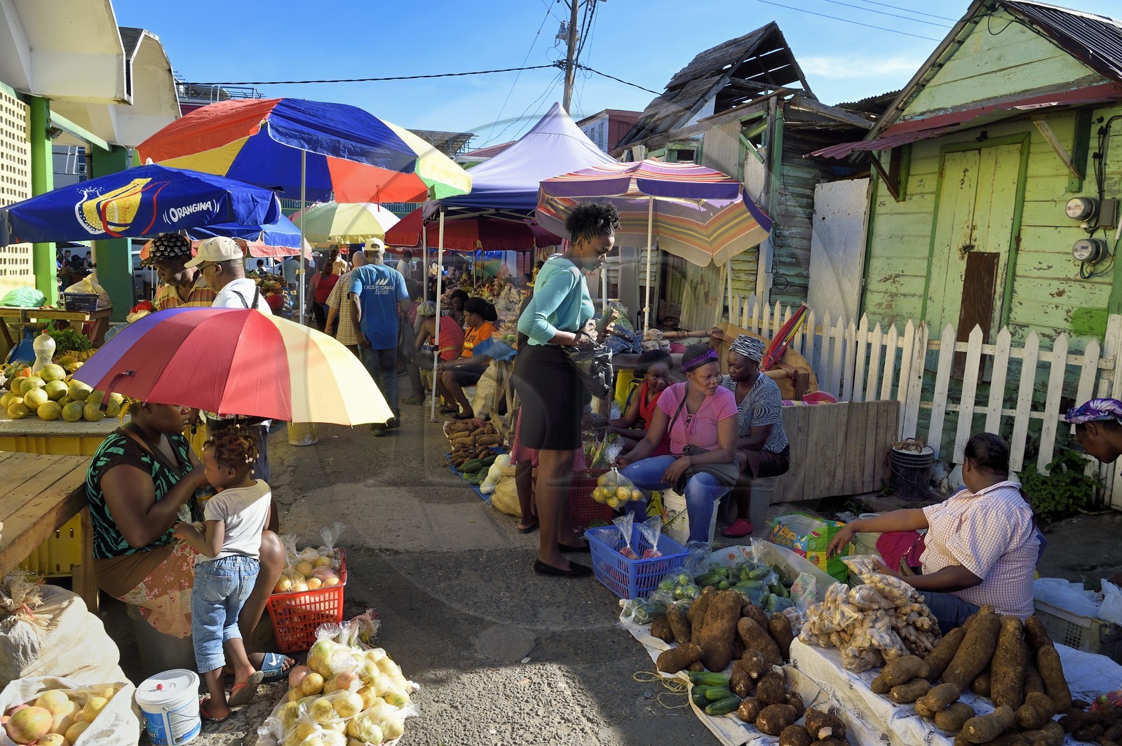 Caraïbes, Ile de la Dominique, la capitale Roseau, vente à l'étal de fruits et légumes aux abords du marché centrale