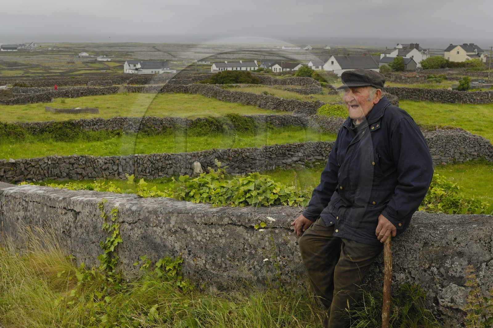 Irlande, Comté de Galway, Aran Islands, Inishmaan, murets typiques en pierres sèches délimitant chaque parcelle de terre, vieil homme