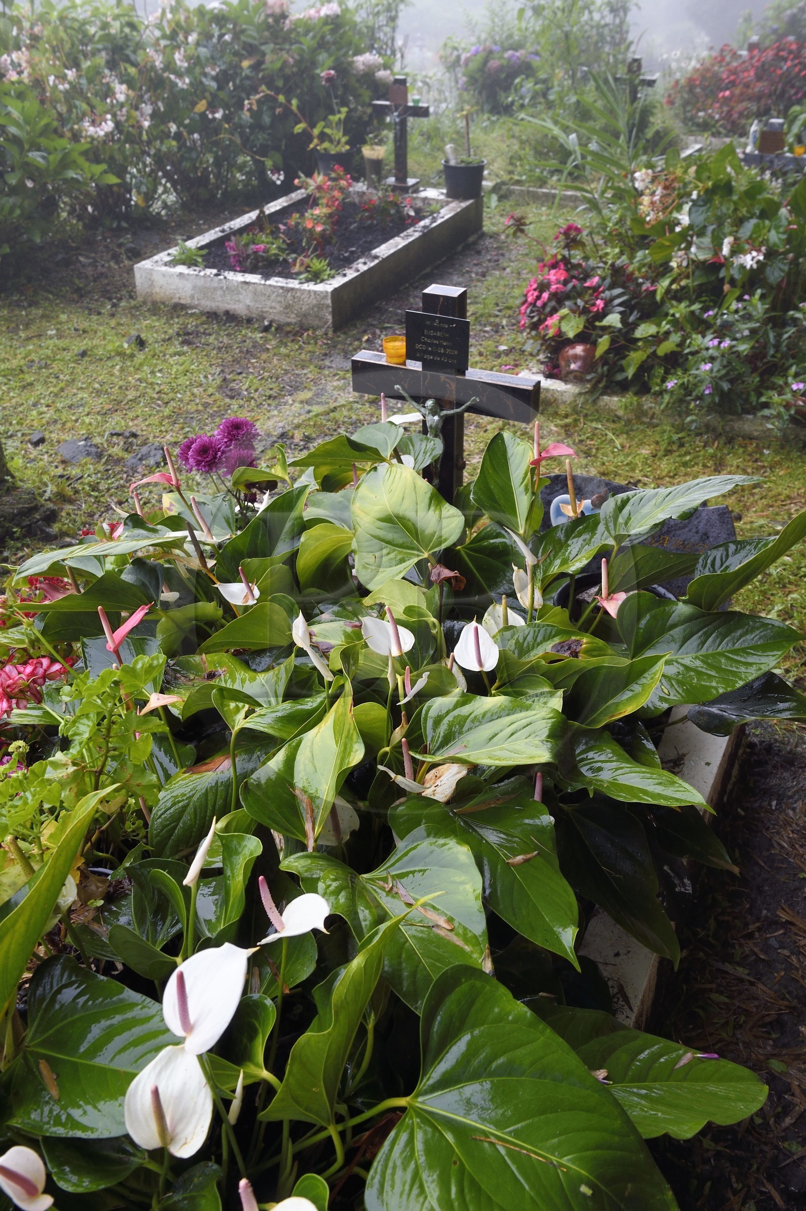 France, Reunion island (French overseas department), Cirque de Salazie, listed as World Heritage by UNESCO, Hell-Bourg, labeled labelled Les Plus Beaux Villages de France (The Most Beautiful Villages of France), the cemetery with naturally flowered graves