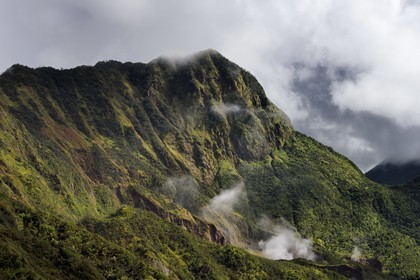 Caribbean, Dominica Island, Castle Bruce, Morne Trois Pitons National Park listed as World heritage by UNESCO, the tropical forest around the Boiling Lake whose vapors can be seen