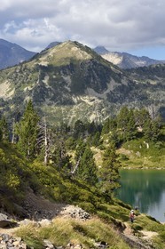 France, Hautes Pyrenees, Saint Lary Soulan and Vielle-Aure, hike on a variant of the GR10 between the Portet pass and the Bastan lakes on the edge of the Neouvielle nature reserve, lower Bastan lake