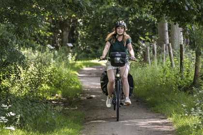 France, Deux-Sèvres (79), le Marais Poitevin, la Venise Verte, Sansais, bicycle journey on the Vélo Francette cycle path, bike with a trailer carrying camping equipment