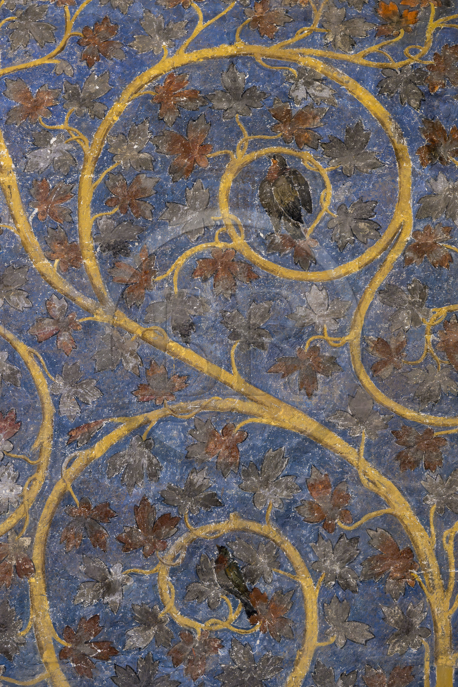 France, Vaucluse (84), Avignon, Palais des Papes classé Patrimoine mondial de l'UNESCO, la tour des Anges ou tour du pape, chambre du Pape, un espace végétal à deux dimensions fait de rinceaux de vigne et de chêne, parsemés d’oiseaux et d’écureuils, orne les murs sur un fond bleu ciel