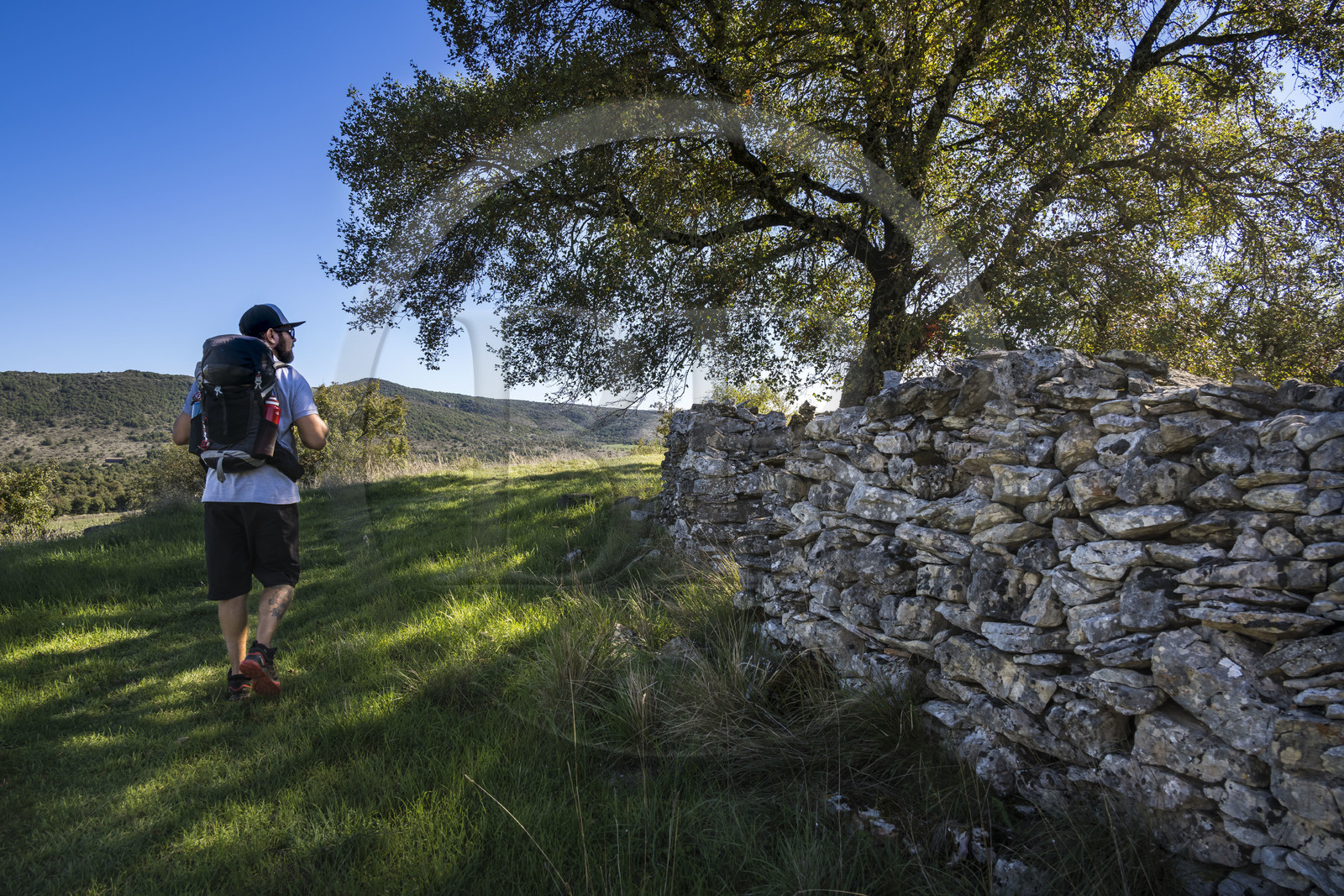 France, Hérault (34), les Causses et les Cévennes, paysage culturel de l'agro-pastoralisme méditerranéen inscrit au Patrimoine Mondial de l'UNESCO, Saint-Maurice-Navacelles, randonneur sur le GR 7 sur des sentiers longeant des murs de pierres sèches