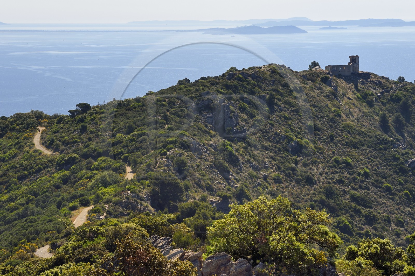 France, Var (83), La Seyne-sur-Mer, randonnée dans le massif du Cap Sicié vers la chapelle Notre-Dame du Mai, l'ancien sémaphore du cap, la presqu'ile de Giens et les iles d'Hyères en arrière plan