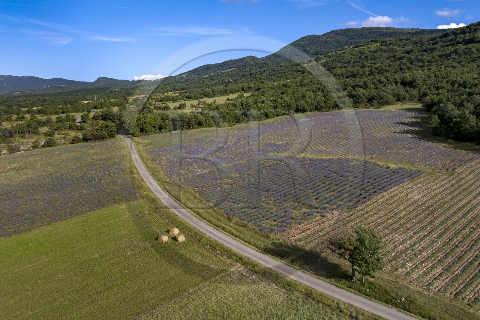 France, Drome, regional natural park of Baronnies provencales, Saint-Auban-sur-l'Ouvèze, the Ouveze river valley (aerial view)