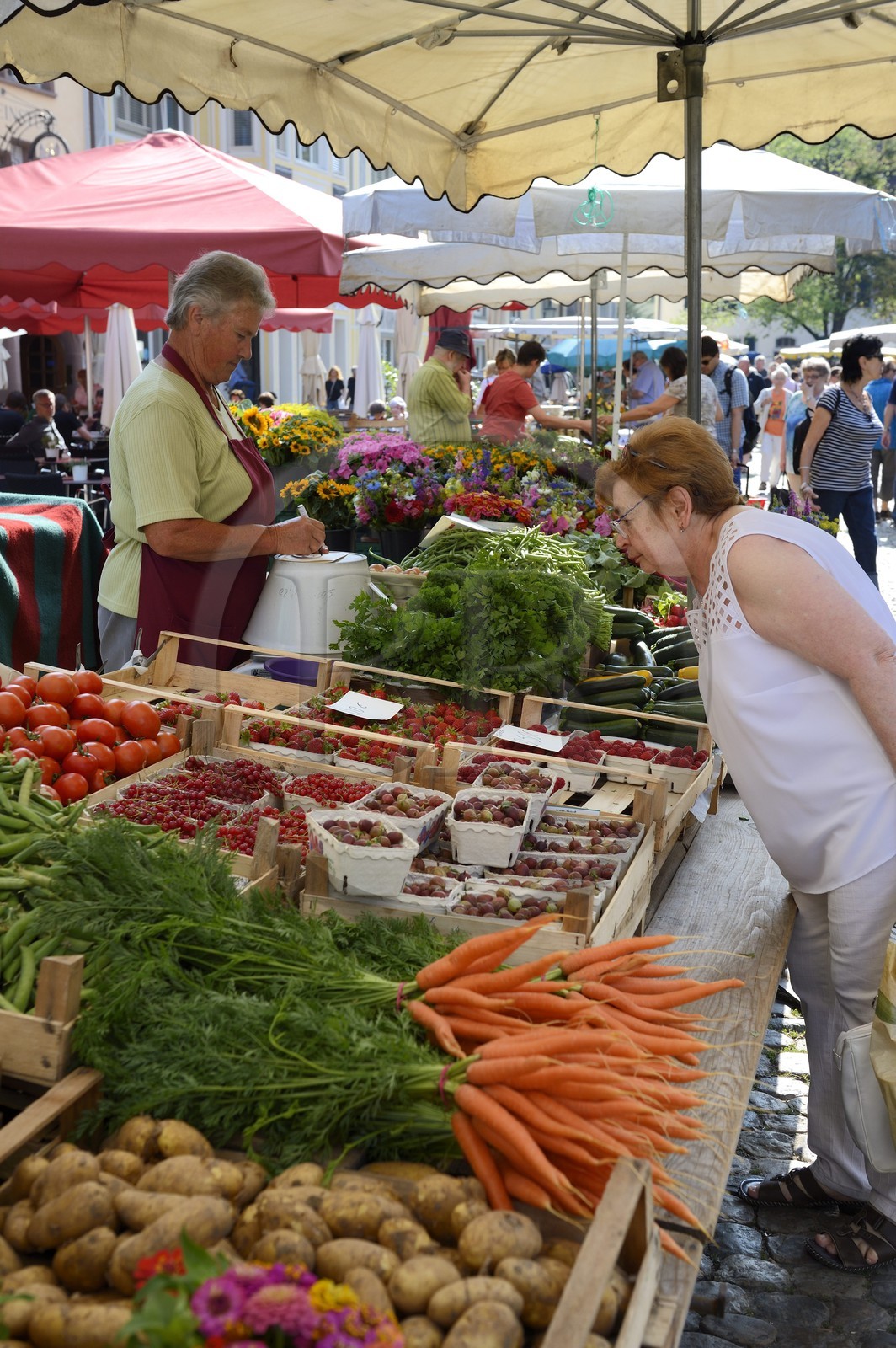 Allemagne, Bade-Wurtemberg, Fribourg en Brisgau, jour de marché sur la Munsterplatz