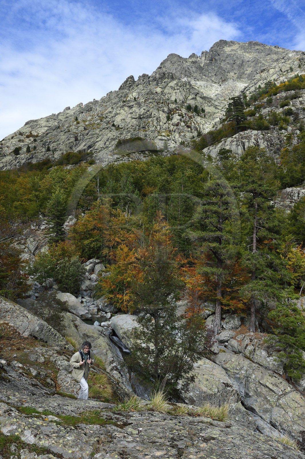 France, Haute Corse, Vivario, hiking on the GR 20, between Onda refuge and Vizzavona, Vizzavona forest, Englishmen cascades, waterfalls group in the Agnone valley under the Monte d'Oro