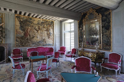 France, Loir-et-Cher (41), château de Talcy, le grand salon