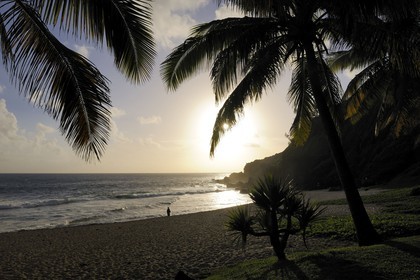 France, île de la Réunion, la côte sud, plage de Grande-Anse